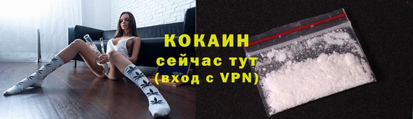 спайс Бородино