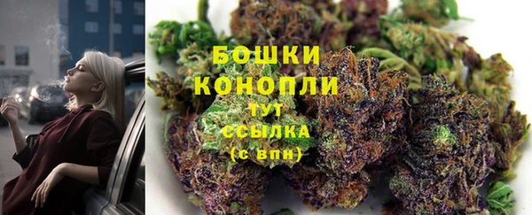 спайс Бородино