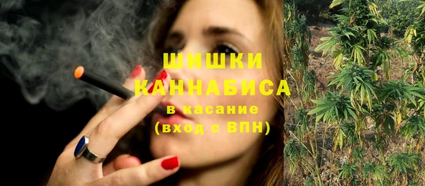 спайс Бородино